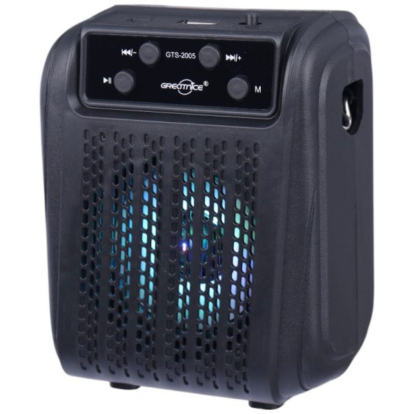اسپیکر بلوتوثی گریت نایس GTS-2005 + میکروفون - Image 3