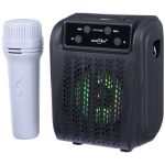 اسپیکر بلوتوثی گریت نایس GTS-2005 + میکروفون